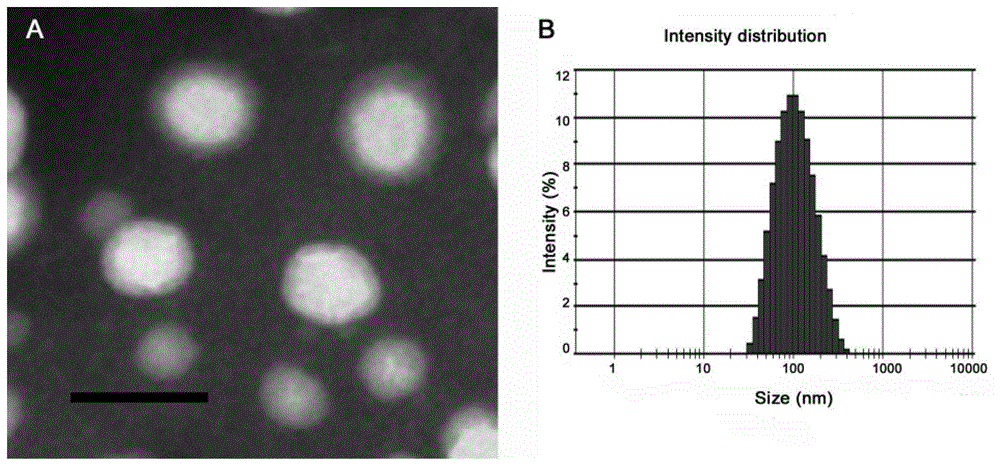 A targeted nano drug delivery system for glioma