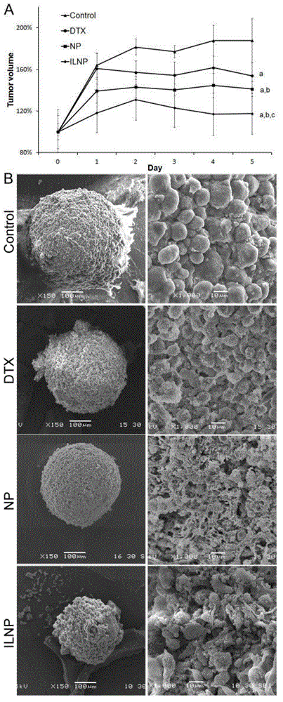 A targeted nano drug delivery system for glioma