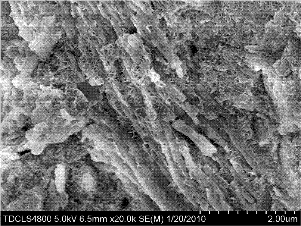 Biological porous bone cement prepared by compositing Sr-doped calcium-phosphorus bioglass and alpha-tricalcium phosphate and preparation method thereof