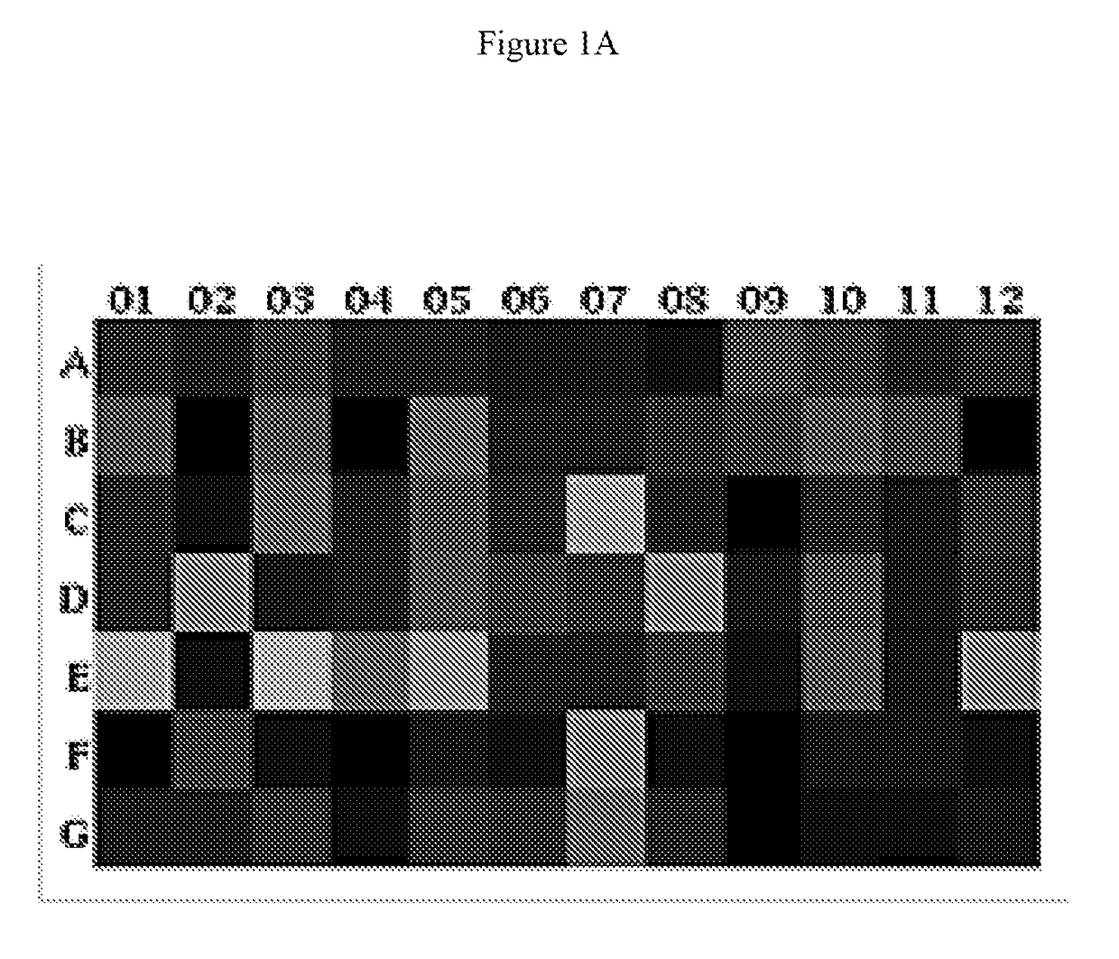 Hematopoietic stem cells in combinatorial therapy with immune checkpoint inhibitors against cancer