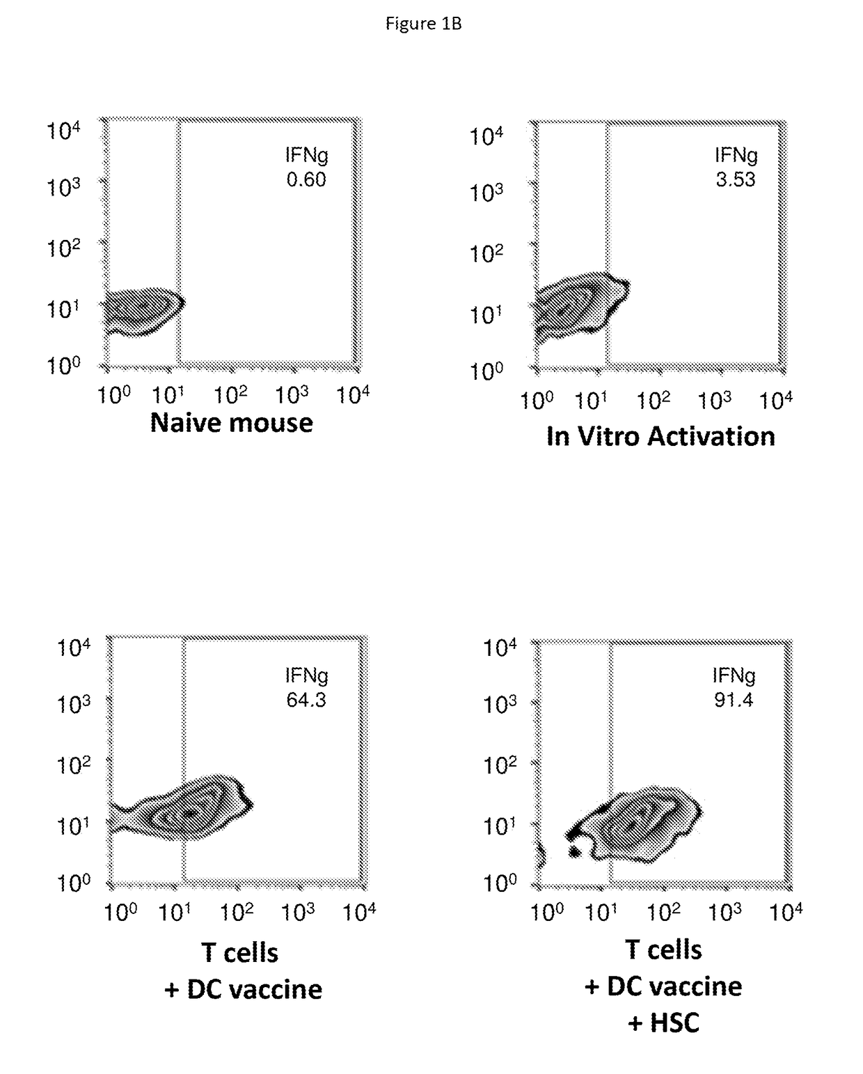 Hematopoietic stem cells in combinatorial therapy with immune checkpoint inhibitors against cancer