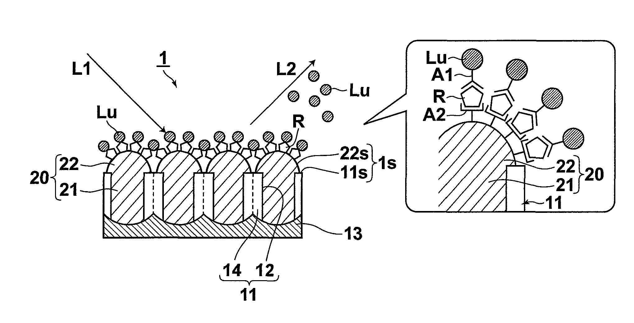 Surface plasmon sensor, sensing apparatus and sensing method