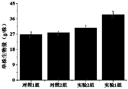 Method for preparing traditional Chinese medicine residue high-activity organic fertilizer by sectional inoculation