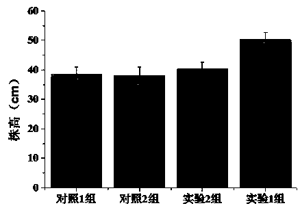 Method for preparing traditional Chinese medicine residue high-activity organic fertilizer by sectional inoculation