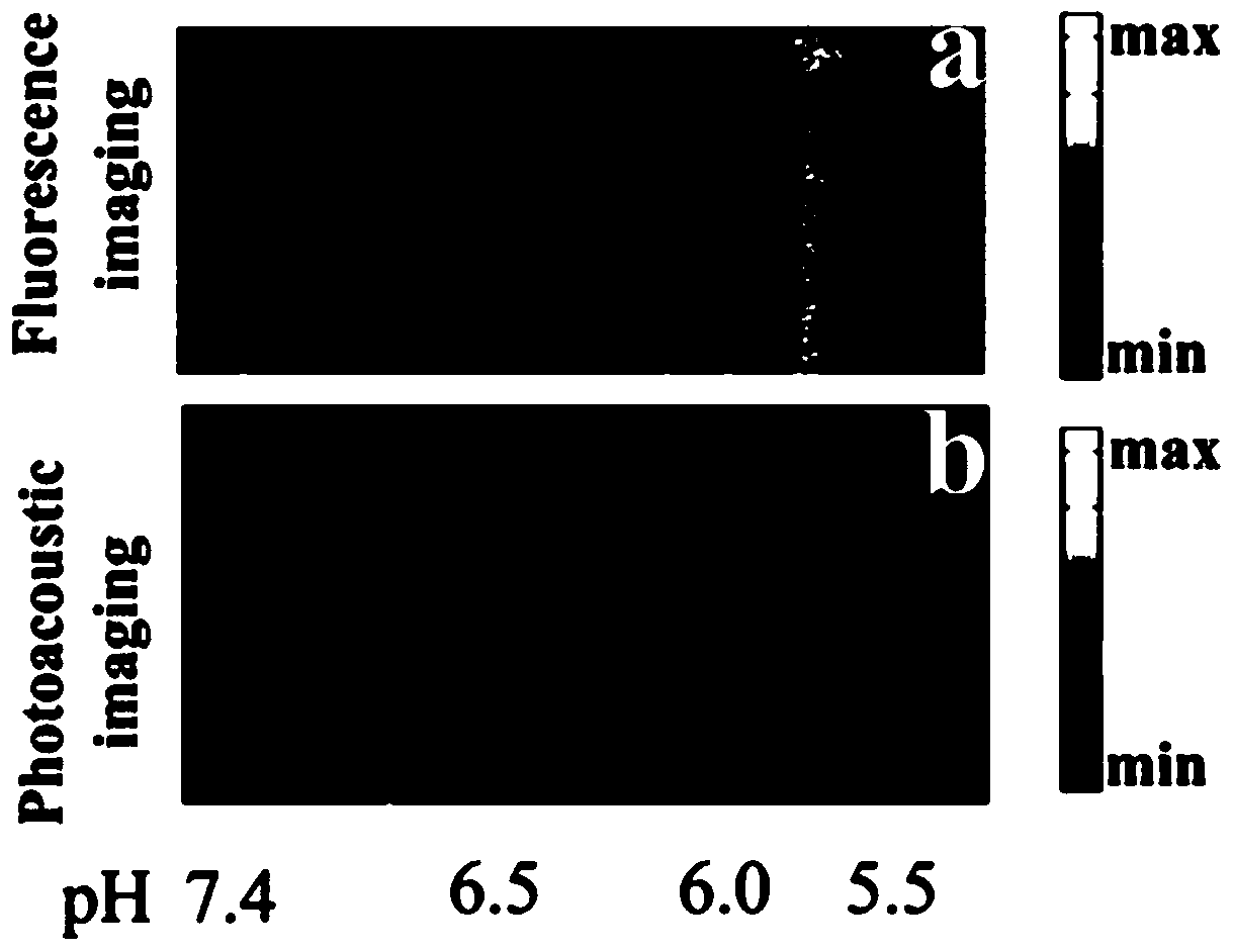 Quantitative detection method and device for determining pH value by using photoacoustic fluorescence signal ratio