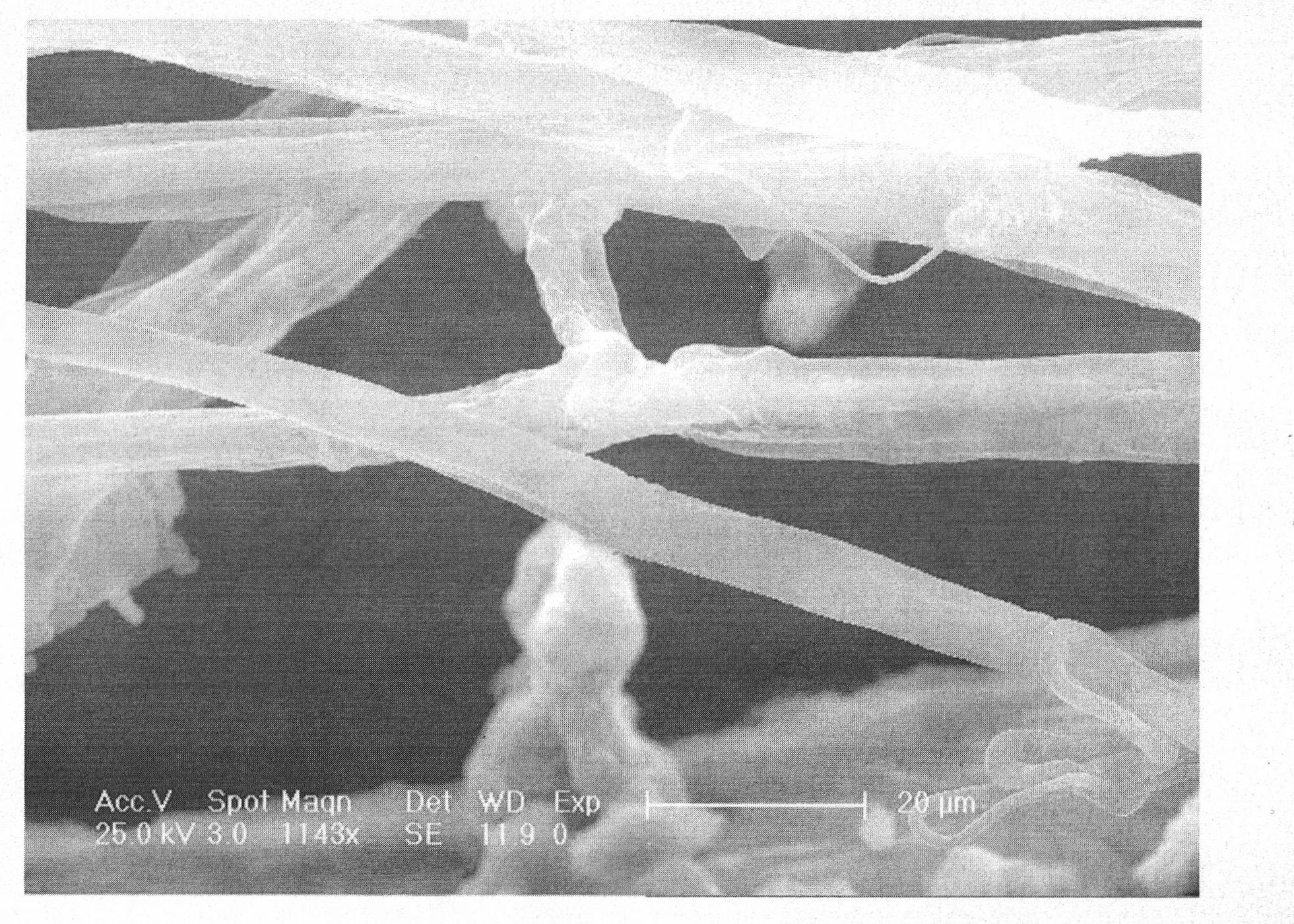 Magnesium chloride/mesoporous molecular sieve bisupported Ziegler-Natta polyethylene catalyst, preparation and use