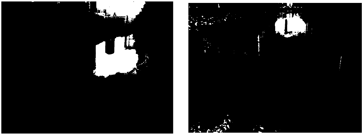 Mixed strain, strain vector and method capable of continuously degrading total ammonia nitrogen in black and odorous water in river