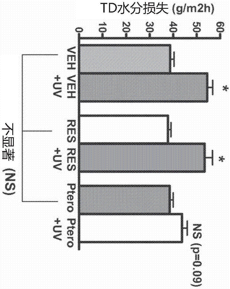 Topical pterostilbene compositions for use in treating UV-induced loss of barrier function in skin