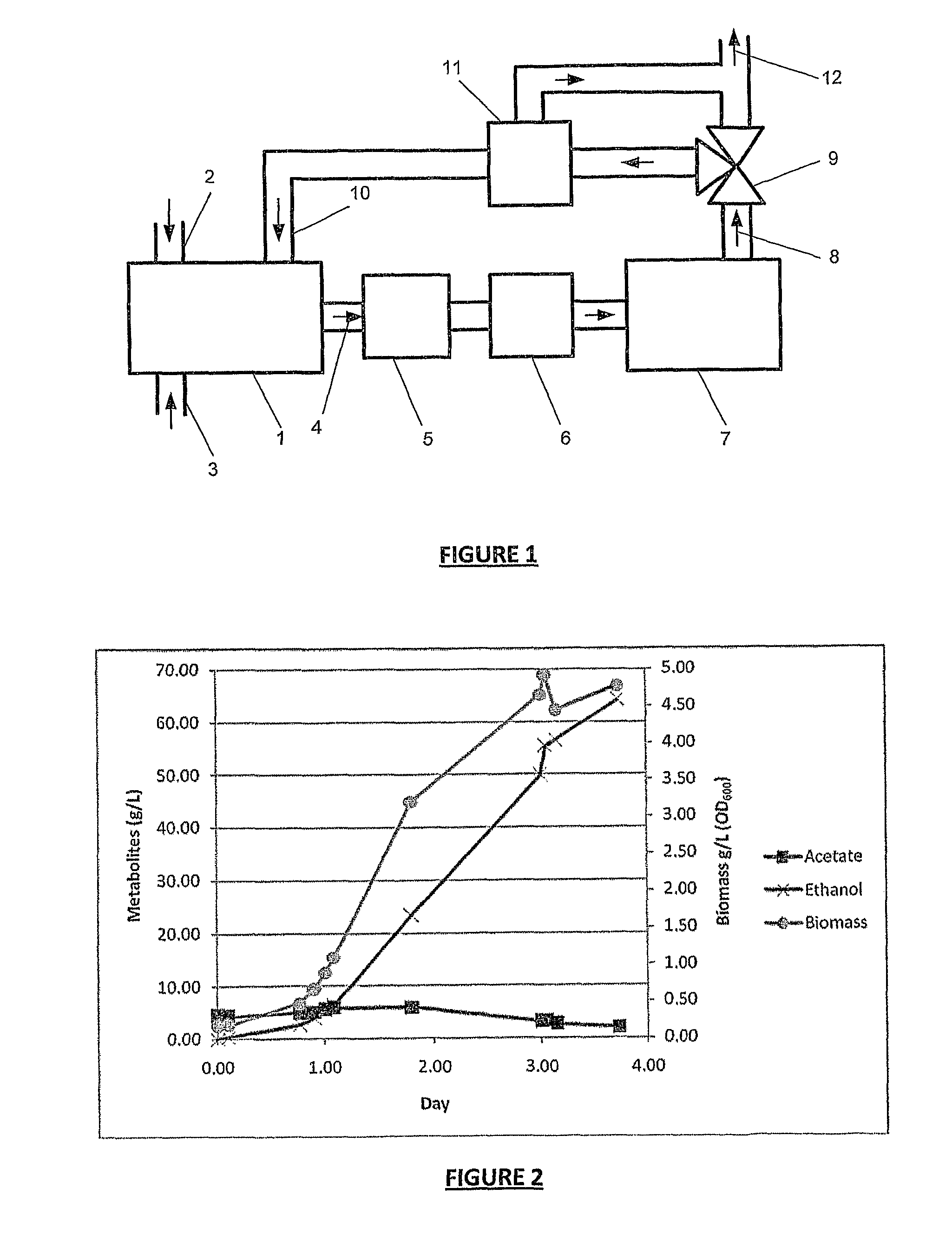 Carbon capture in fermentation