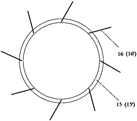 An Elastic Blade Type Ultrasonic Motor Running in Two Directions