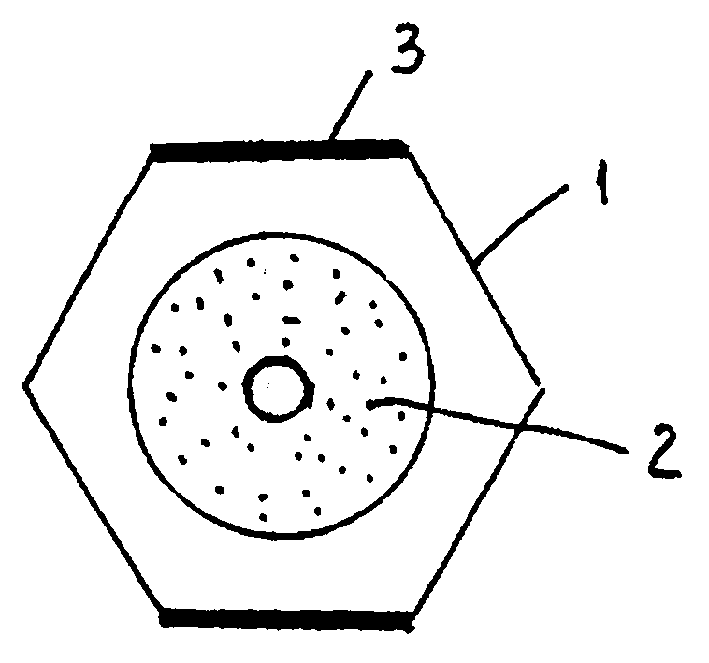 Treatment apparatus of fuel and its production method