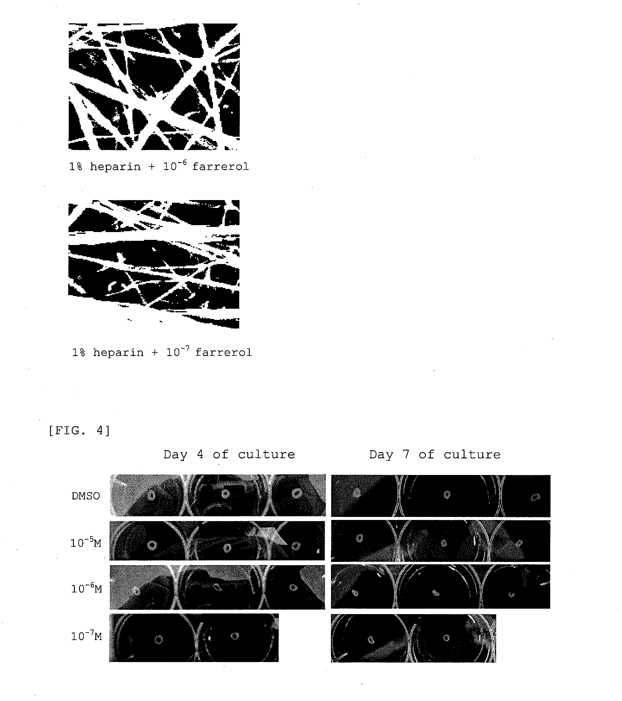 External preparation for skin containing flavanone derivative