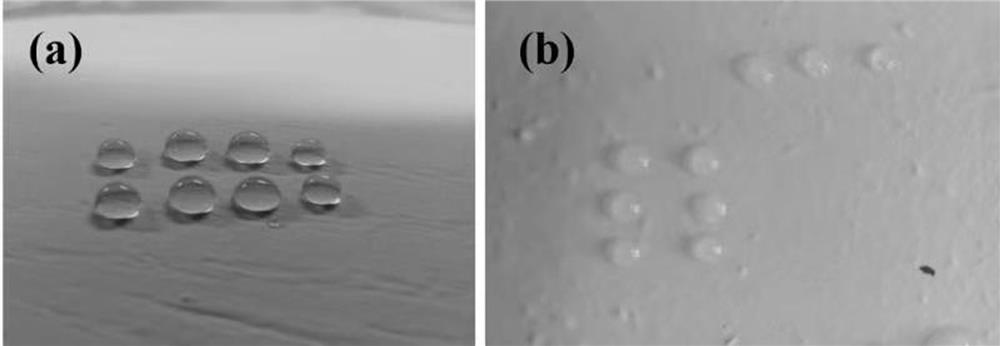 Preparation method and application of a water-soluble amphiphobic modified material