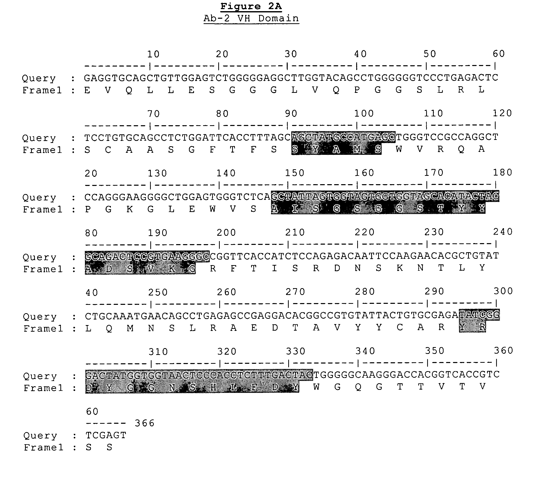 Antibodies of angiogenesis inhibiting domains CD148