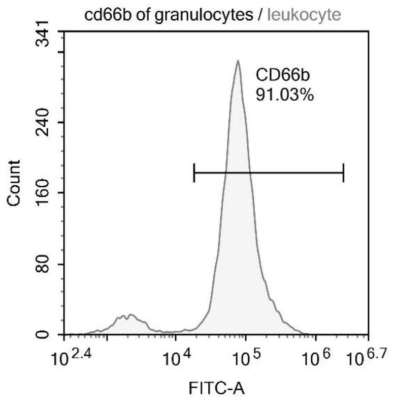 Novel granulocyte separation method