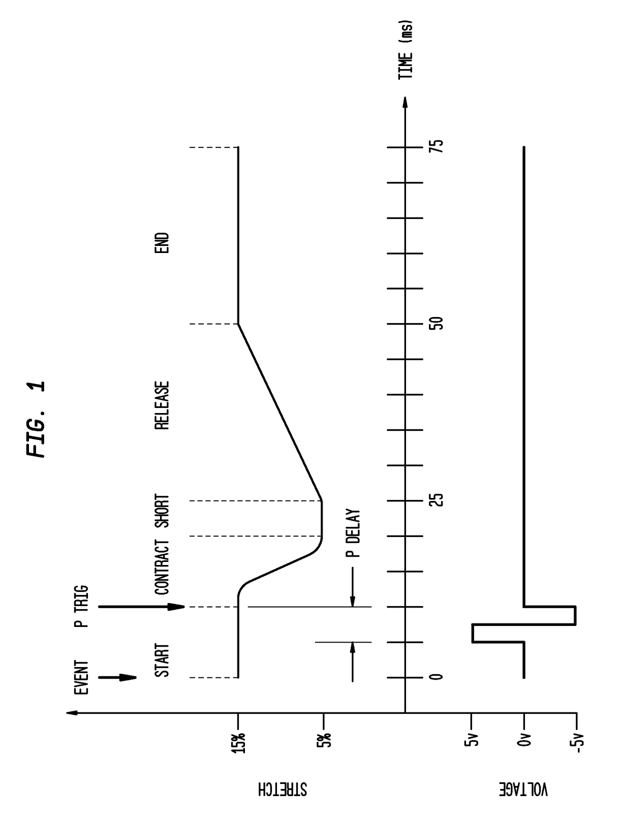 Apparatus and method for culturing cells and tissue