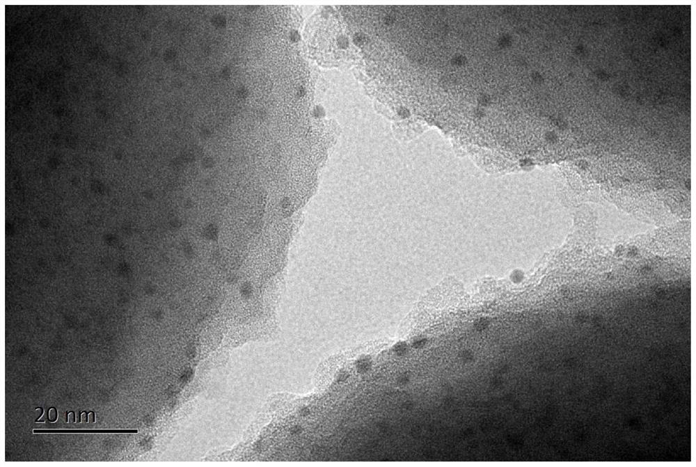 A kind of catalyst and preparation method thereof for producing methyl methacrylate with low cost and high efficiency