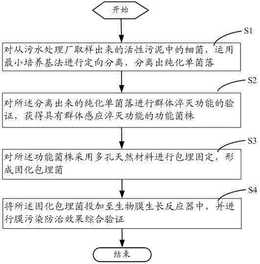 Method for controlling membrane pollution by quorum quenching immobilized strains