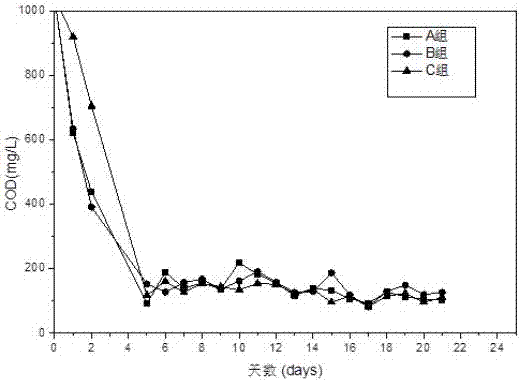 Method for controlling membrane pollution by quorum quenching immobilized strains