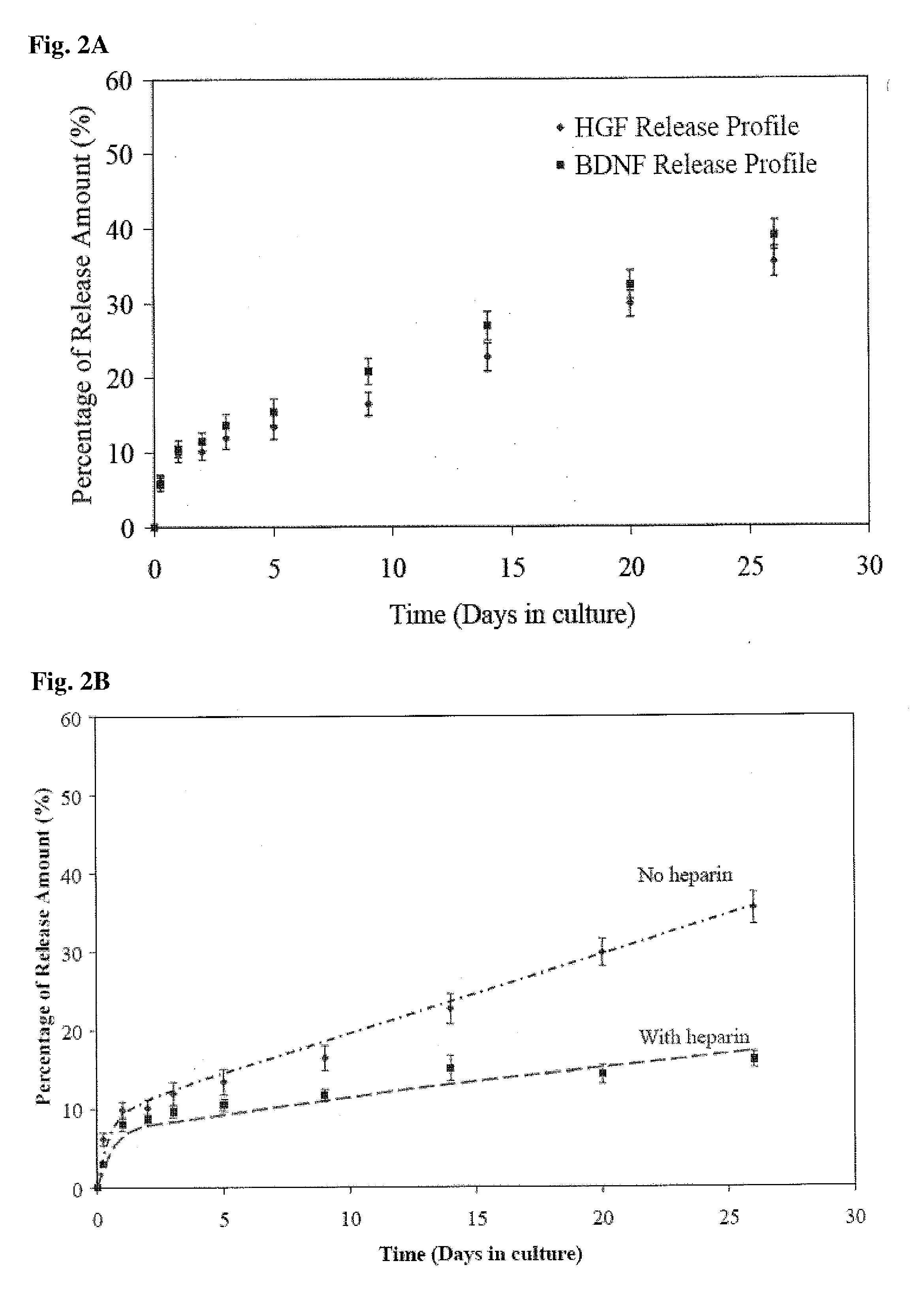 Methods for Promoting the Revascularization and Reenervation of CNS Lesions