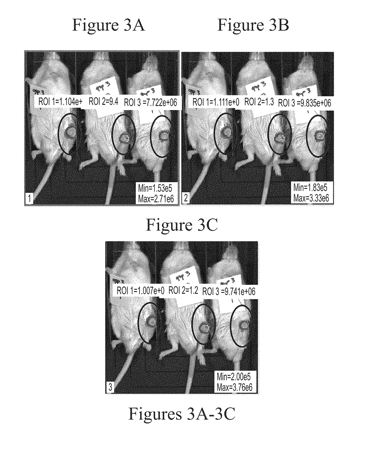 Messenger RNA therapy for treatment of articular disease