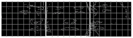 Face direction change recognition method based on neural network and sensitivity parameter