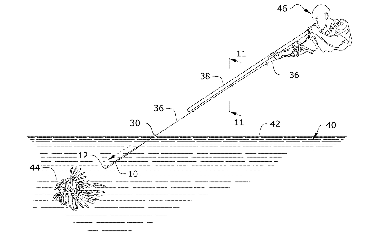 Water penetrating dart