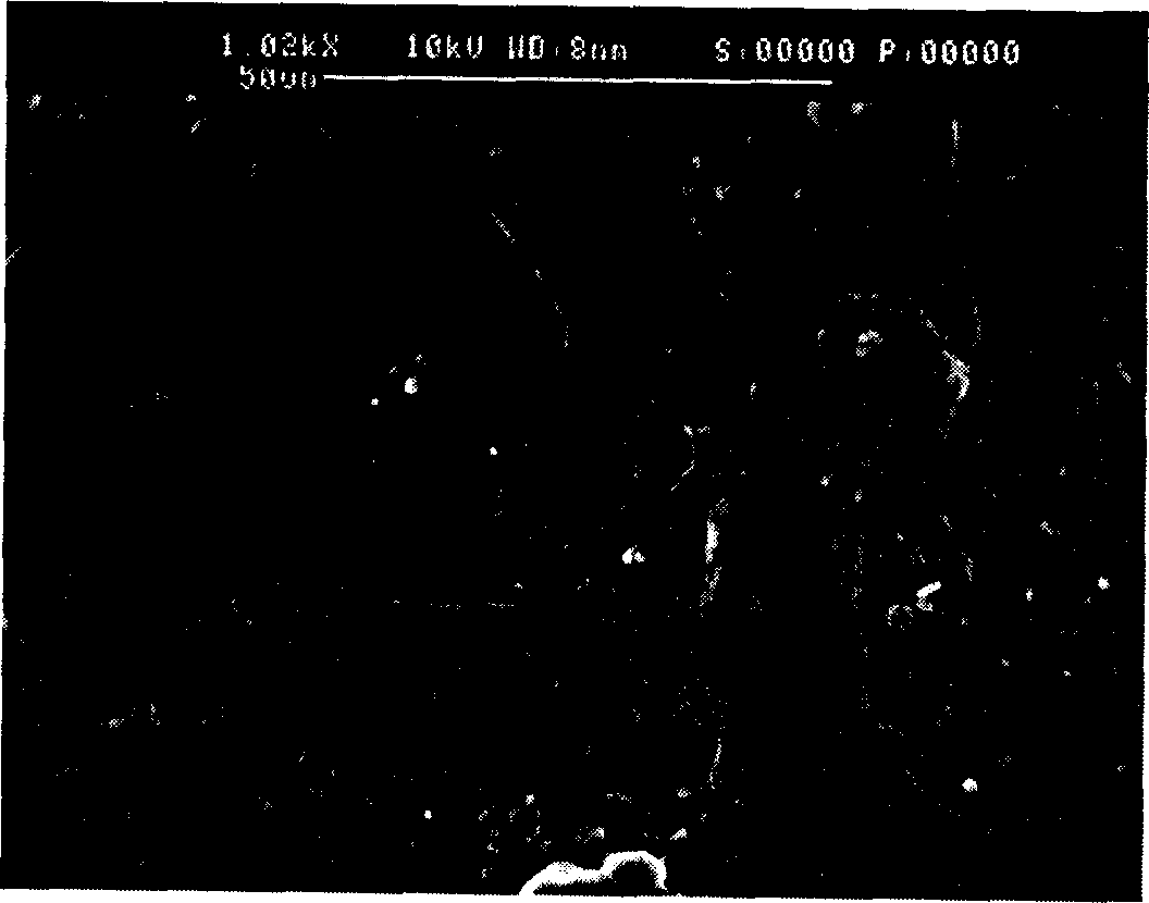 Biological material using electrostatic attraction layer-layer self-assembled modified polyester material as surface with cell compatibility