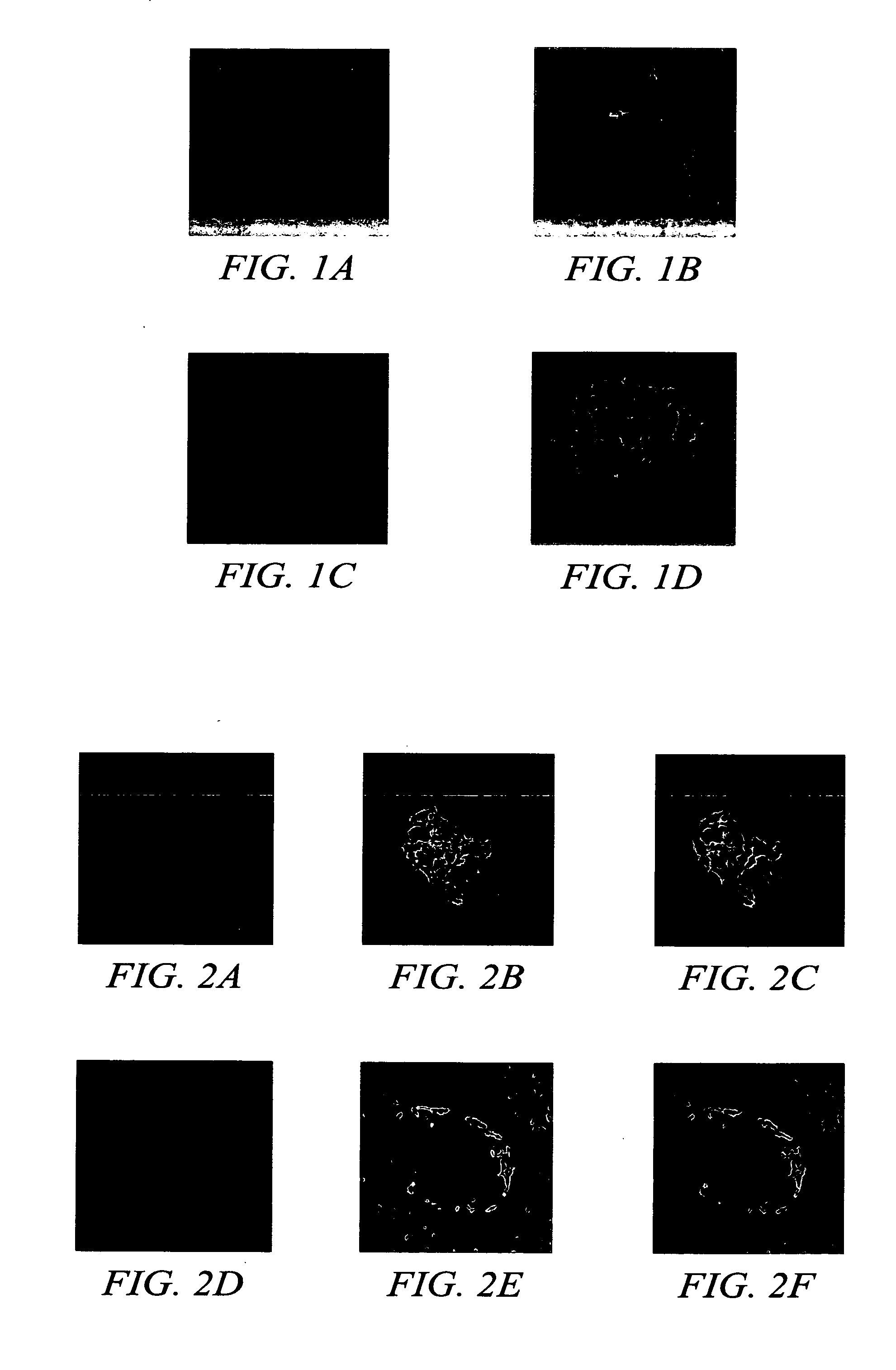 Gene or drug delivery system