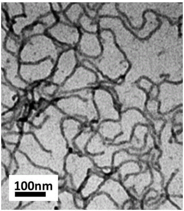 Nanometer polycarboxylic acid water reducer and preparation method thereof