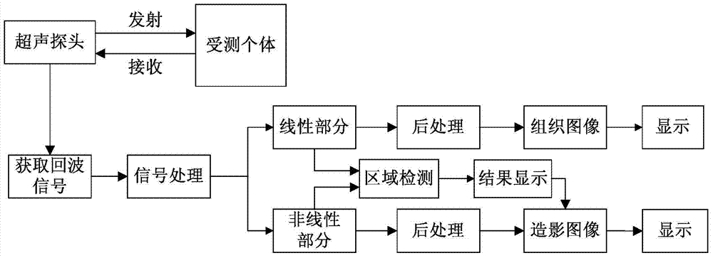 Ultrasound contrast imaging method and region detection and development methods for contrast images