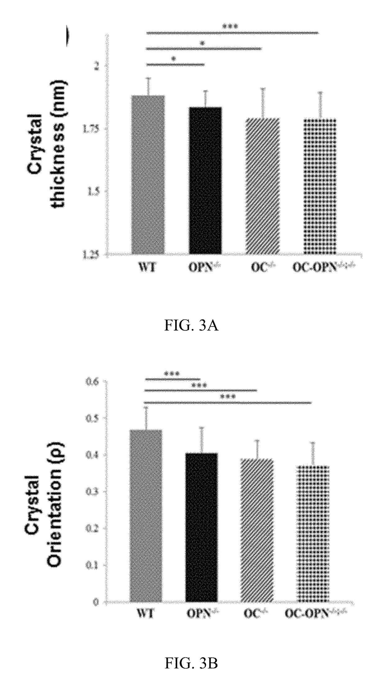 Biomimetic nano-composite scaffold for enhanced bone healing and fracture repair