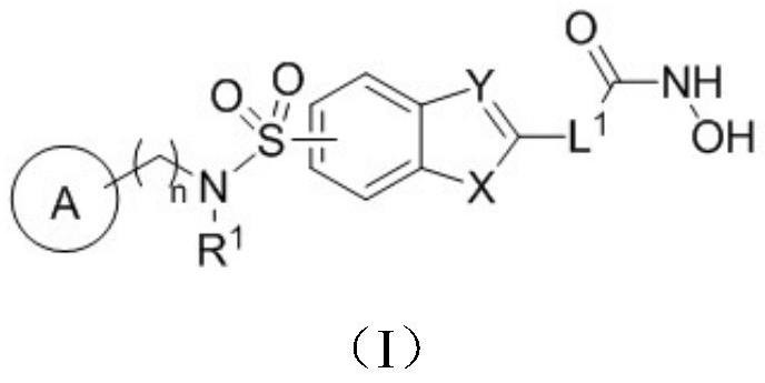 HDAC inhibitor and its preparation method and use