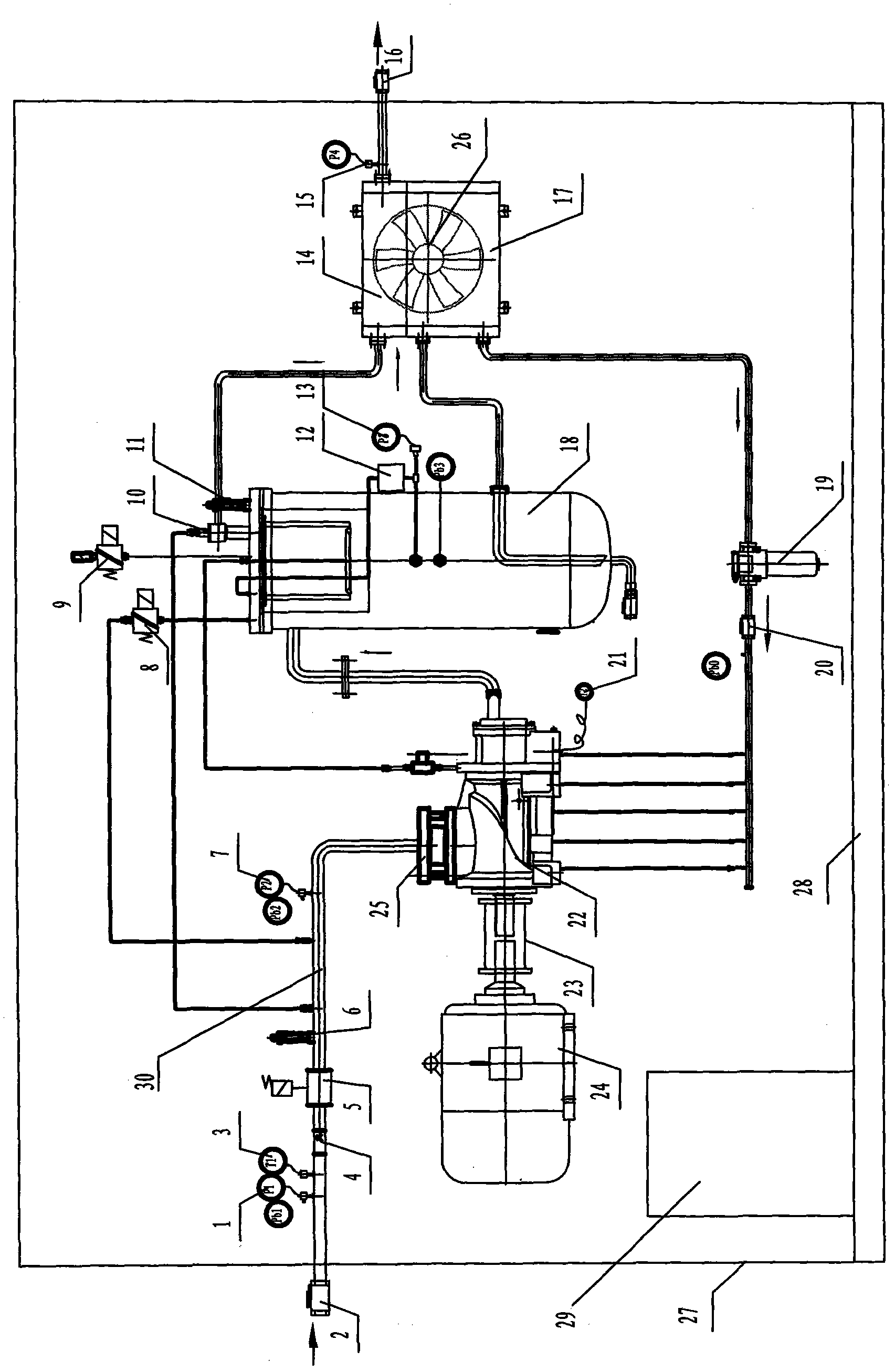 Screw gas booster