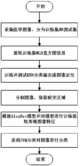 Medical image lesion area positioning and classification method