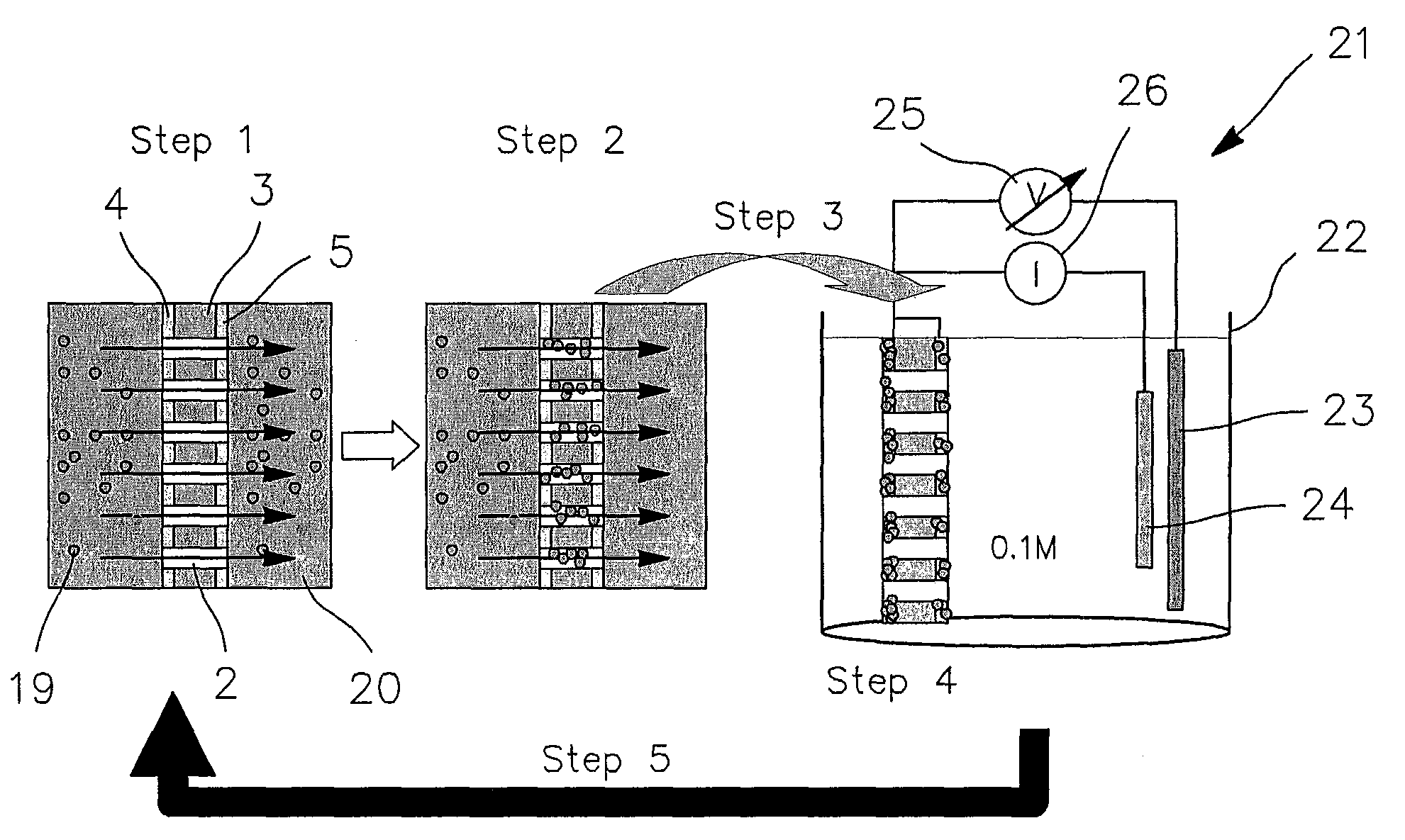 Method and device using nanoporous membrane for detecting and quantifying heavy metal ions in a fluid by anodic stripping voltammetry