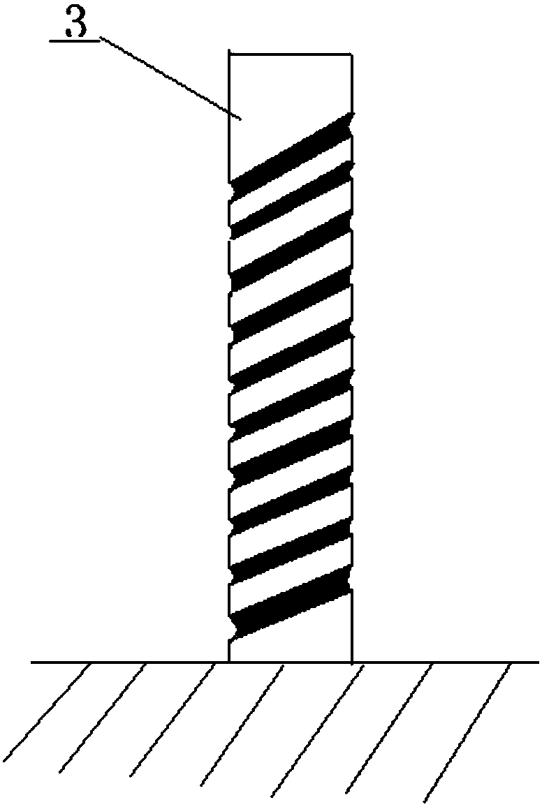 Single plant trunk surface spiral pattern artistic modeling cultivation method for lagerstroemia plants