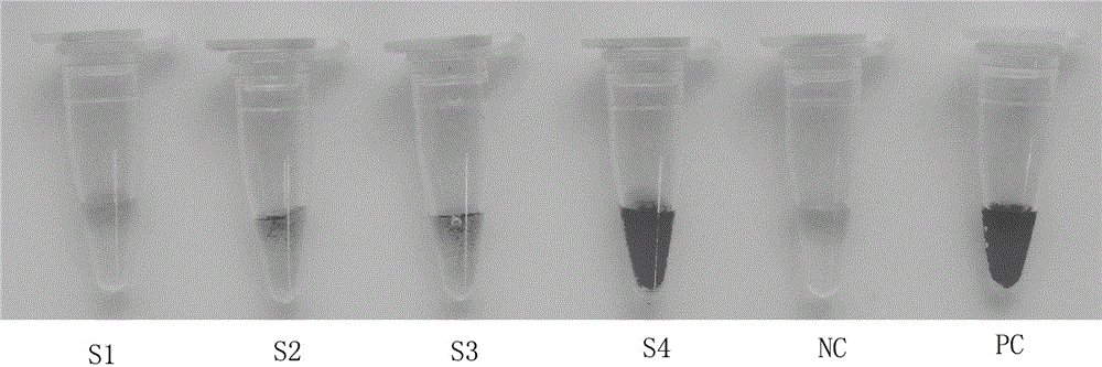 Inverse probe for visually detecting single-nucleotide polymorphism site in gene sequence, kit and detection method thereof