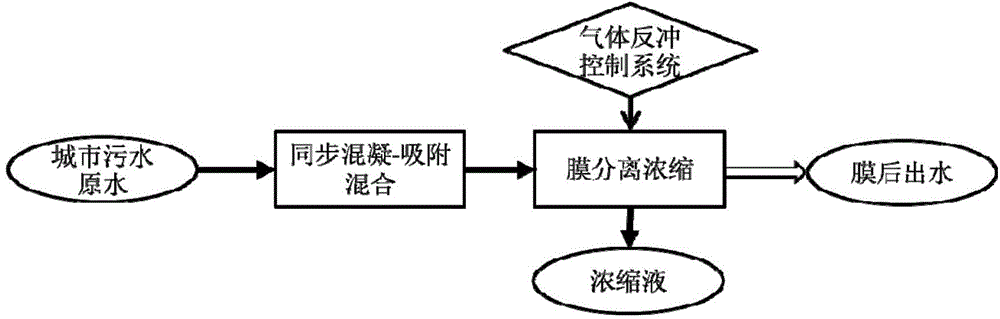 Sewage Synchronous Coagulation-Adsorption-Membrane Concentration Recycling Pretreatment Device and Method