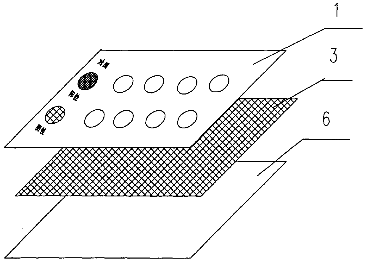 Card assembly for fastly inspecting lead content and its production