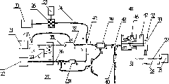 Automatic sample injection device