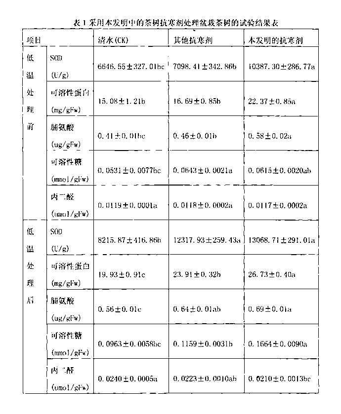 Natural tea tree cold-resistant agent and preparation method thereof