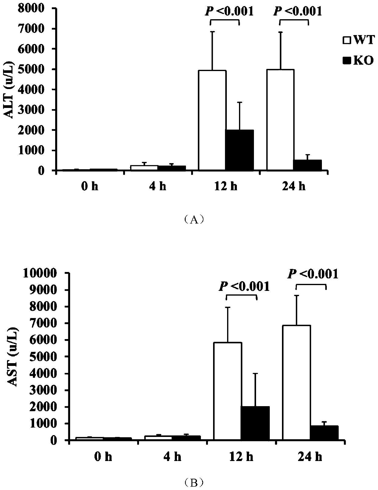 Application of mPGES-2 as target in treatment or prevention of drug-induced acute liver injury