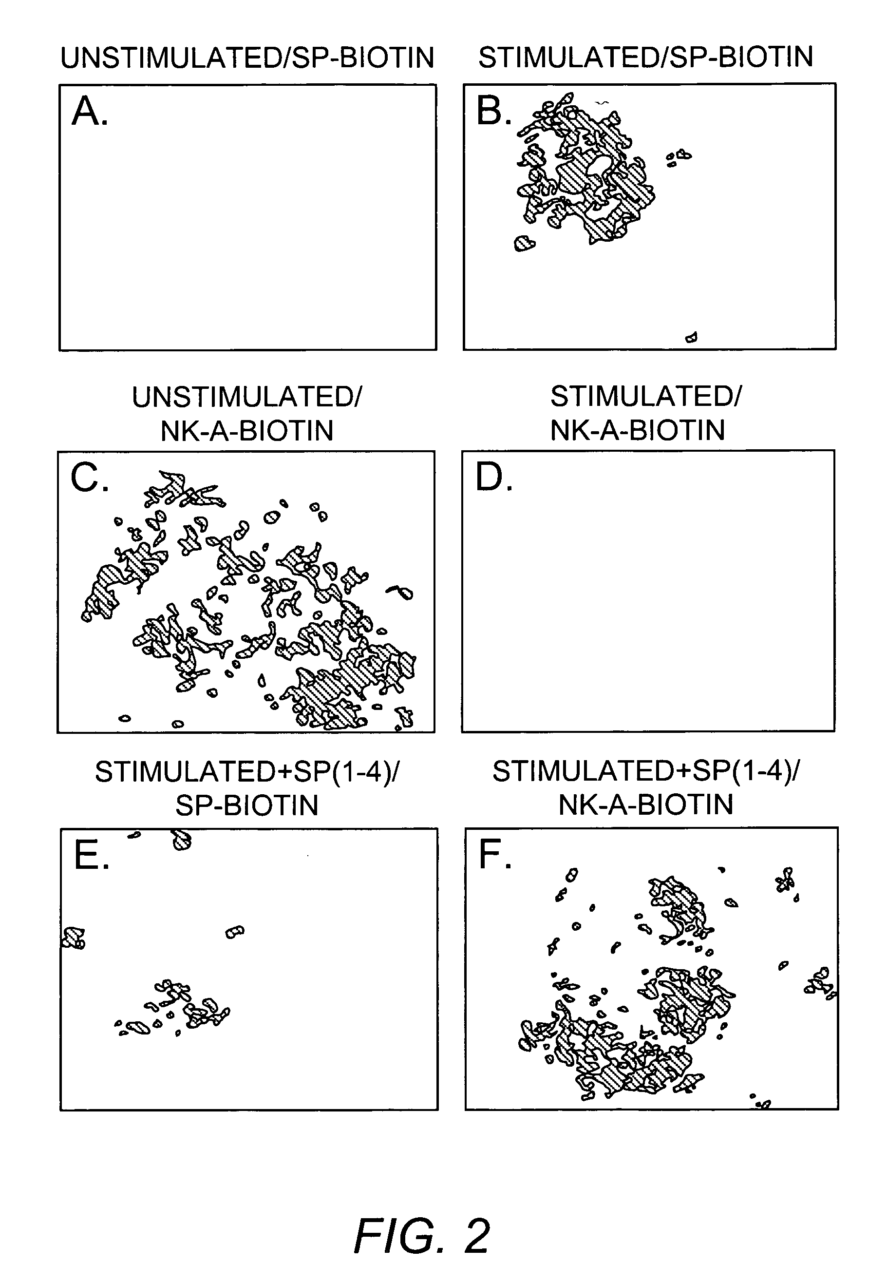 Amino terminal substance P compositions and methods for using the same