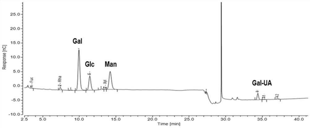 Binary oil displacement system containing bio-based surfactant and biopolymer and application of binary oil displacement system