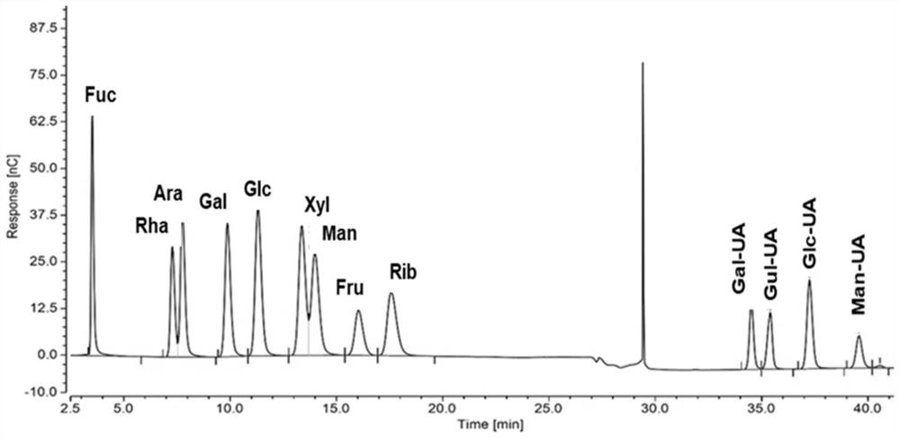 Binary oil displacement system containing bio-based surfactant and biopolymer and application of binary oil displacement system