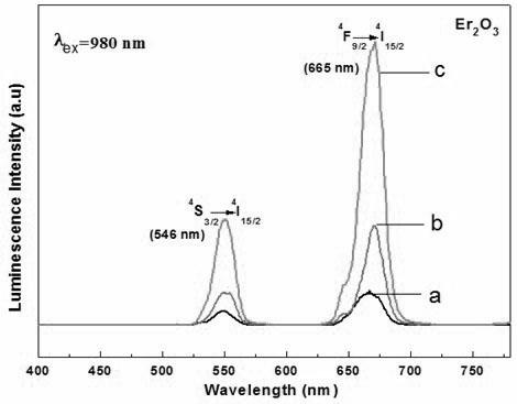 Preparation method of rare earth ion doped tungsten oxygen fluoride silicate up-converted luminescent glass