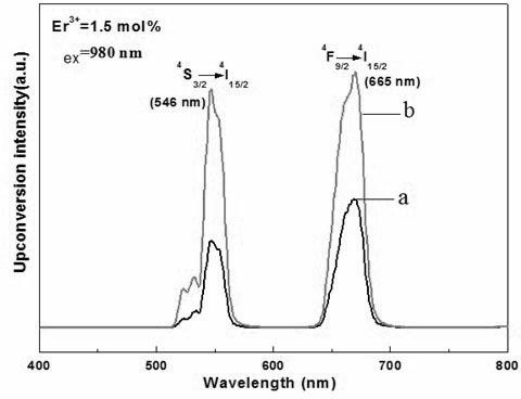 Preparation method of rare earth ion doped tungsten oxygen fluoride silicate up-converted luminescent glass