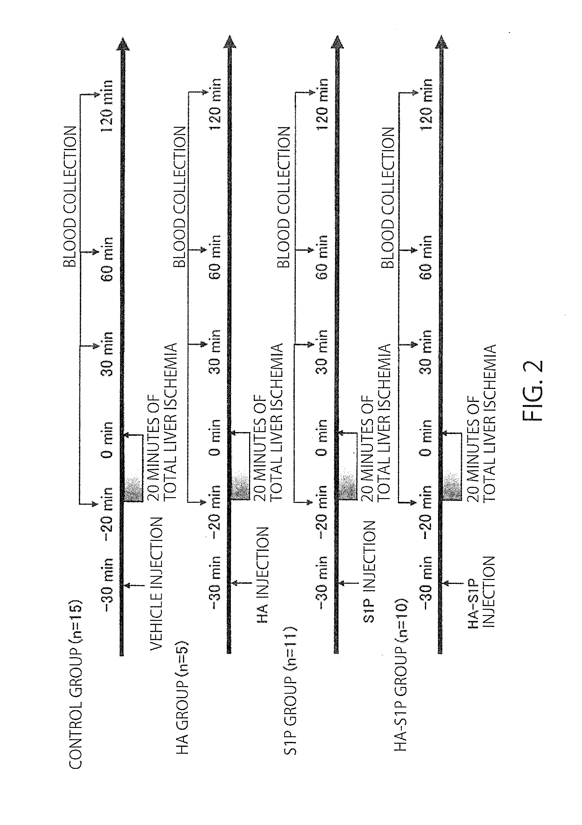 Hyaluronic acid modified by sphingosine-1-phosphoric acid