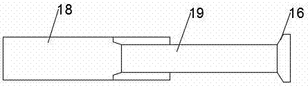 Water manure spraying device for camellia oleifera abel